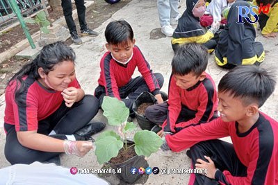 112 Siswa SDN Sampangan 01 Belajar Urban Farming