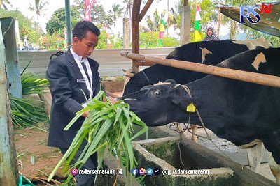 Festival Lembah Hijau, Pamerkan Hasil Ternak hingga Pertanian