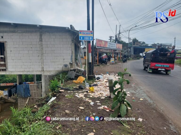 Truk Muatab Roti dan Cabai Adu Banteng di Jalan Raya Sukorejo-Parakan