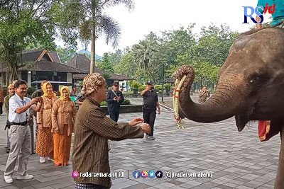 Pengunjung Perdana Candi Borobudur 2023 Disambut dengan Dua Gajah