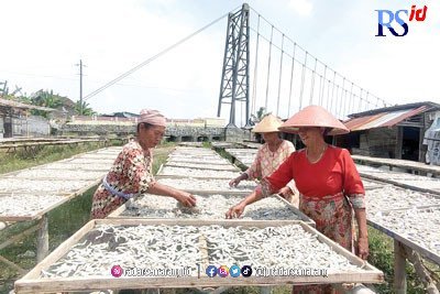 Produksi Ikan Teri Nasi Terkendala Cuaca Ekstrem