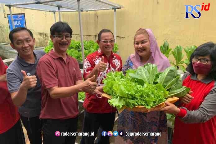 PANEN SAYUR: Plt Wali Kota Semarang Hevearita Gunaryanti Rahayu saat panen sayur di SMP Negeri 11 Semarang, kemarin.(ADENNYAR WYCAKSONO/RADARSEMARANG.COM)