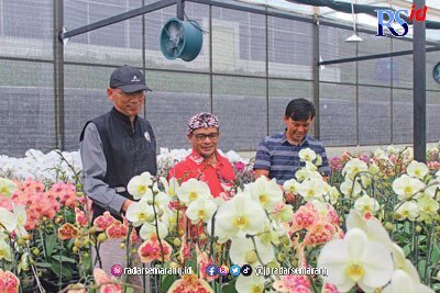 Kledung Research Park Hasilkan 2.000 Anggrek Berkualitas Setiap Bulan