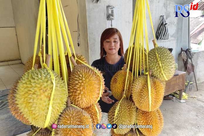 Akhir Januari Diprediksi Jadi Puncak Musim Panen Durian di Tuntang