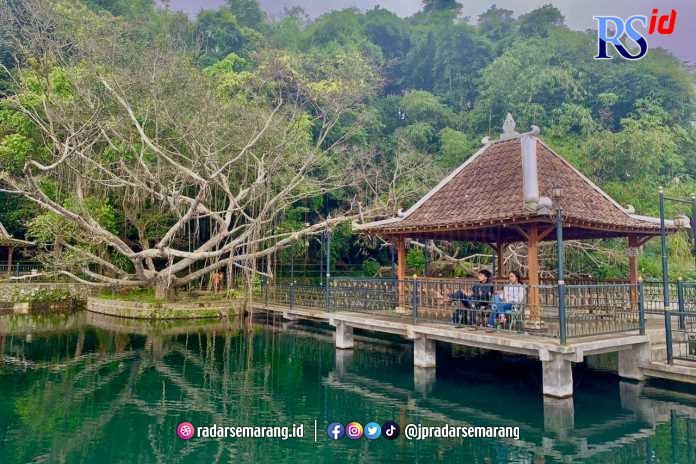 Menikmati Sejuknya Mata Air dari Pohon Beringin di Sendang Sengon Temanggung