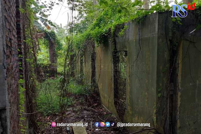 Kosong Sejak 1990, Ada Penampakan Pocong dan Kuntilanak di Bekas Bangunan Ponpes